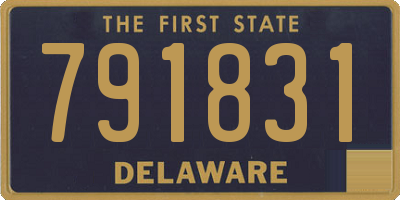 DE license plate 791831
