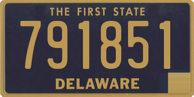 DE license plate 791851