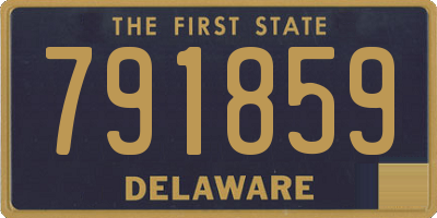 DE license plate 791859