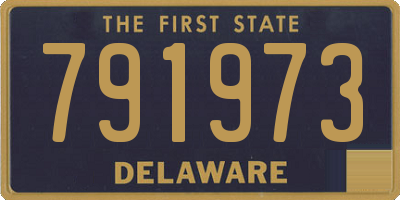 DE license plate 791973