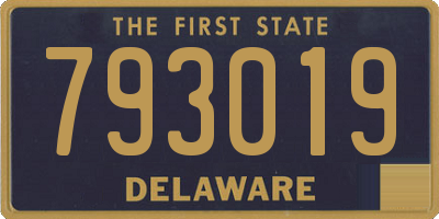 DE license plate 793019