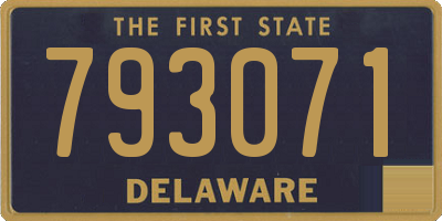 DE license plate 793071