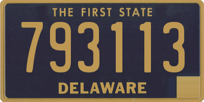 DE license plate 793113