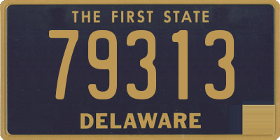 DE license plate 79313