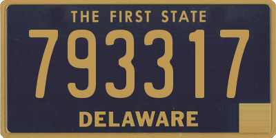 DE license plate 793317