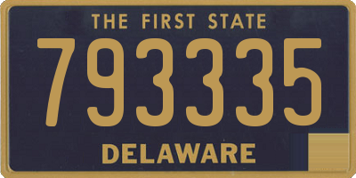 DE license plate 793335