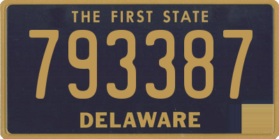DE license plate 793387