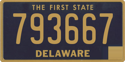 DE license plate 793667