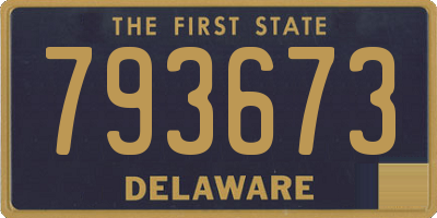 DE license plate 793673