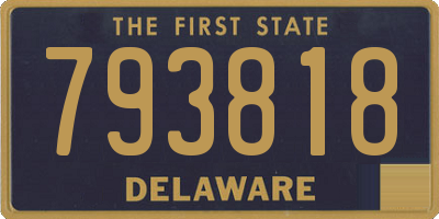 DE license plate 793818