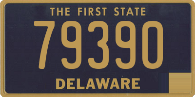 DE license plate 79390