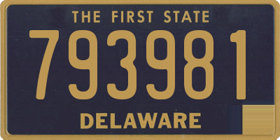 DE license plate 793981