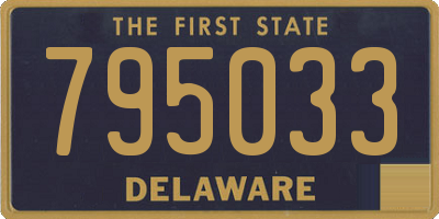 DE license plate 795033