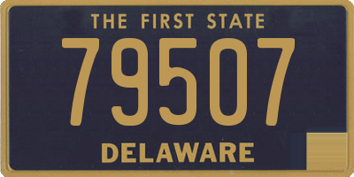 DE license plate 79507