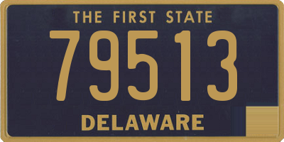 DE license plate 79513