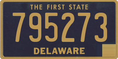 DE license plate 795273
