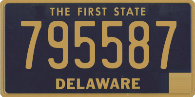DE license plate 795587