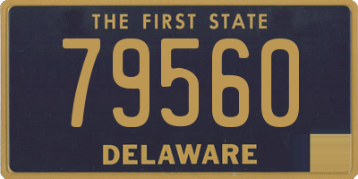 DE license plate 79560