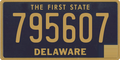 DE license plate 795607