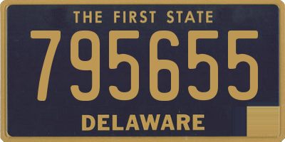 DE license plate 795655