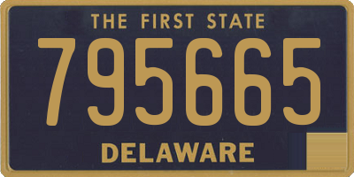DE license plate 795665
