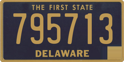 DE license plate 795713