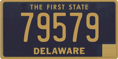 DE license plate 79579