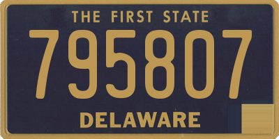 DE license plate 795807