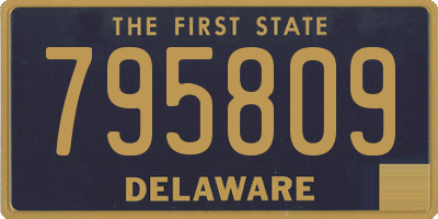 DE license plate 795809