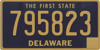DE license plate 795823