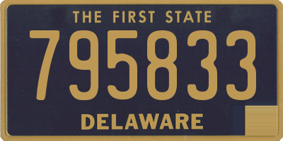 DE license plate 795833