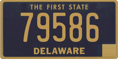 DE license plate 79586