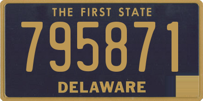 DE license plate 795871