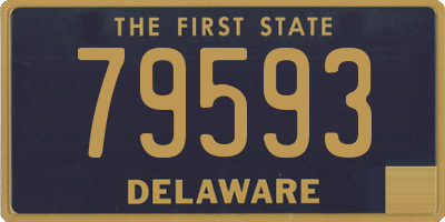 DE license plate 79593