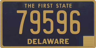 DE license plate 79596