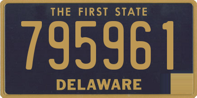 DE license plate 795961