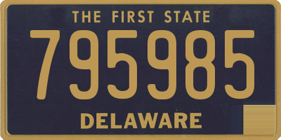 DE license plate 795985