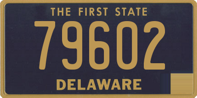 DE license plate 79602