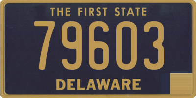 DE license plate 79603