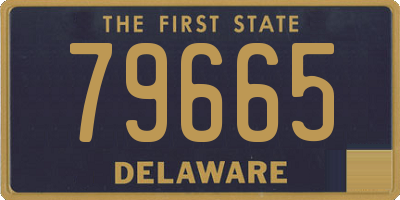 DE license plate 79665