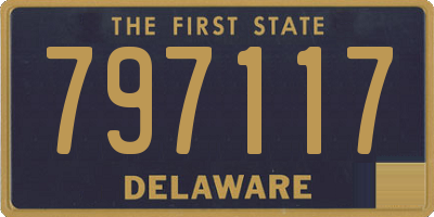DE license plate 797117