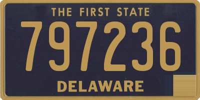 DE license plate 797236
