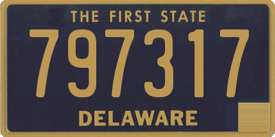 DE license plate 797317
