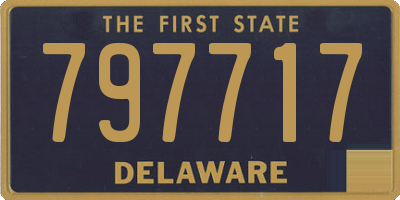 DE license plate 797717