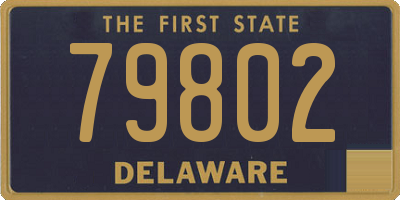 DE license plate 79802