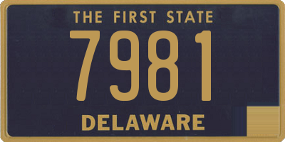 DE license plate 7981