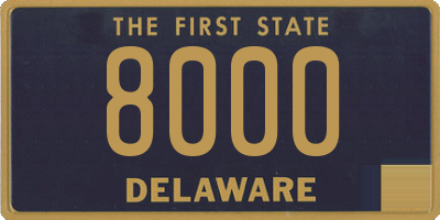 DE license plate 8000