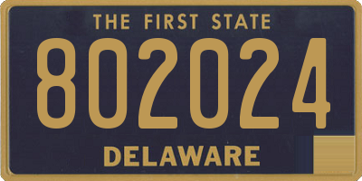 DE license plate 802024