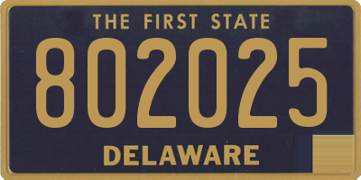 DE license plate 802025