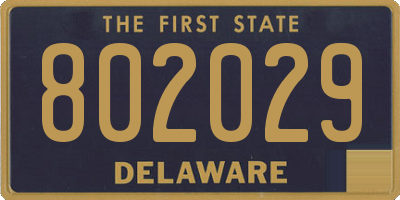 DE license plate 802029